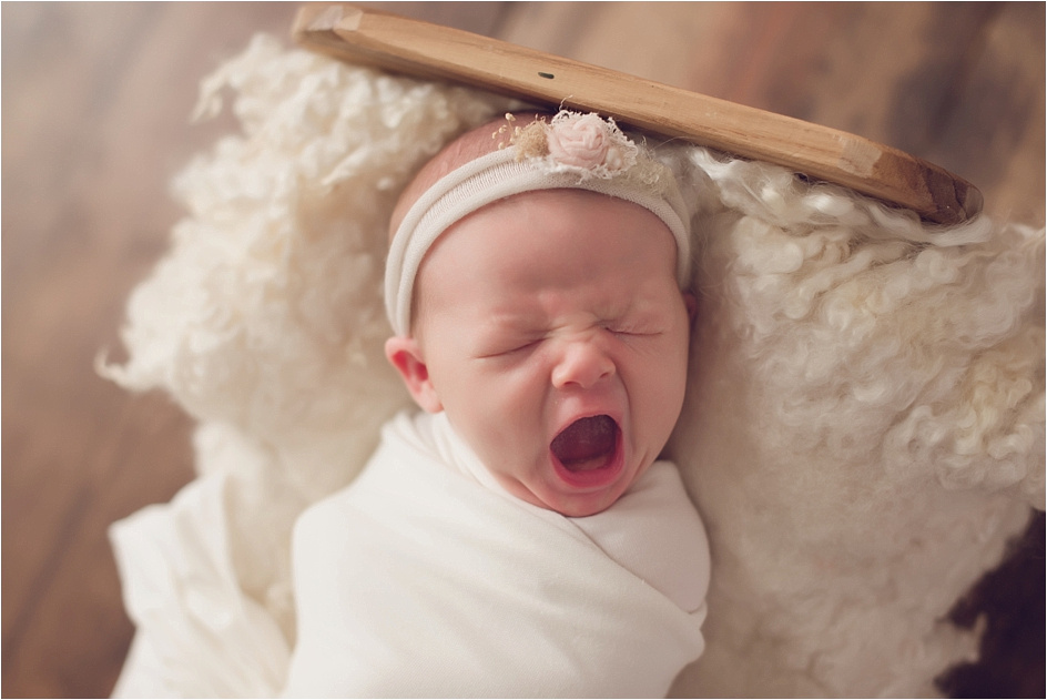 chicago newborn photographer_0459