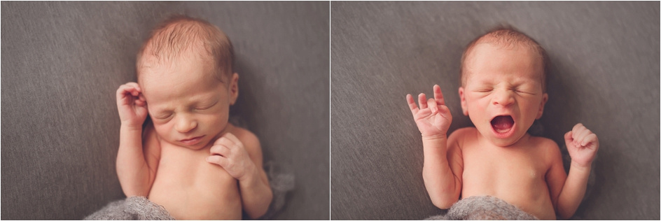 chicago newborn photographer_0336
