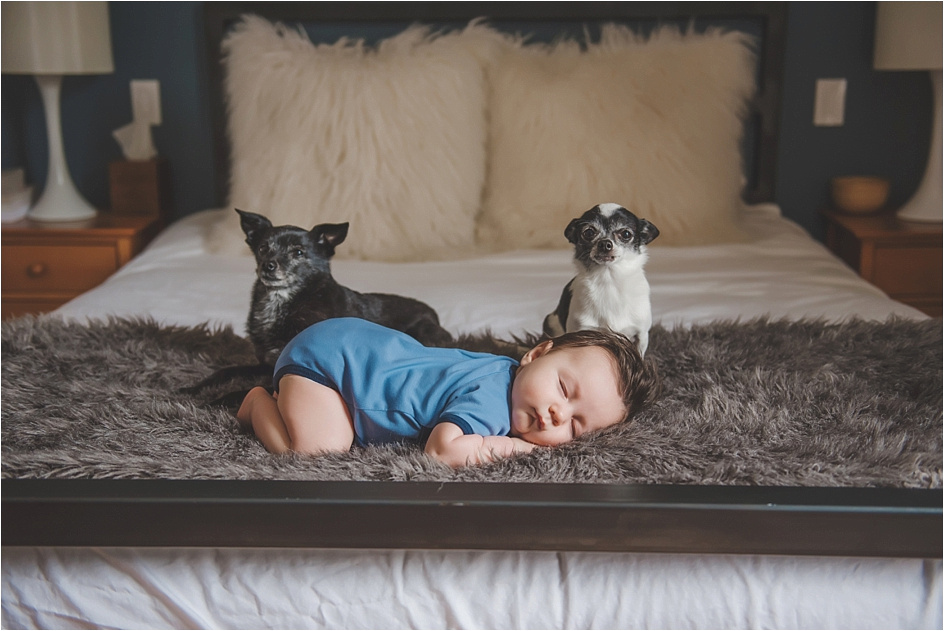 chicago newborn photographer_0399